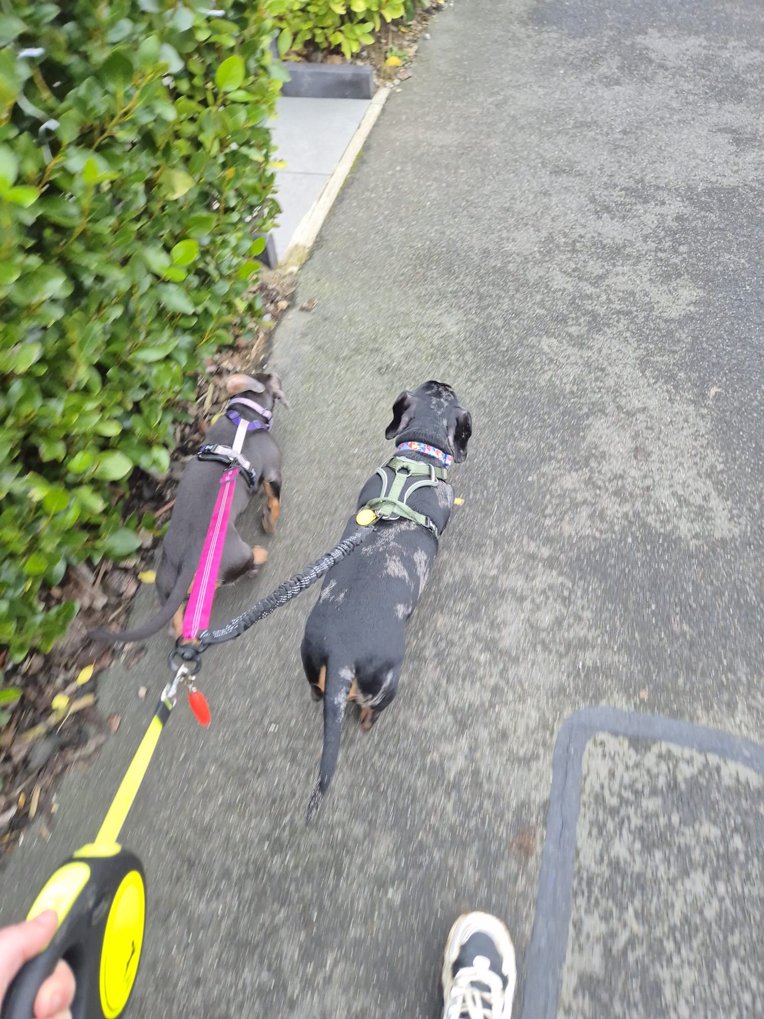 Another happy walkies moment
