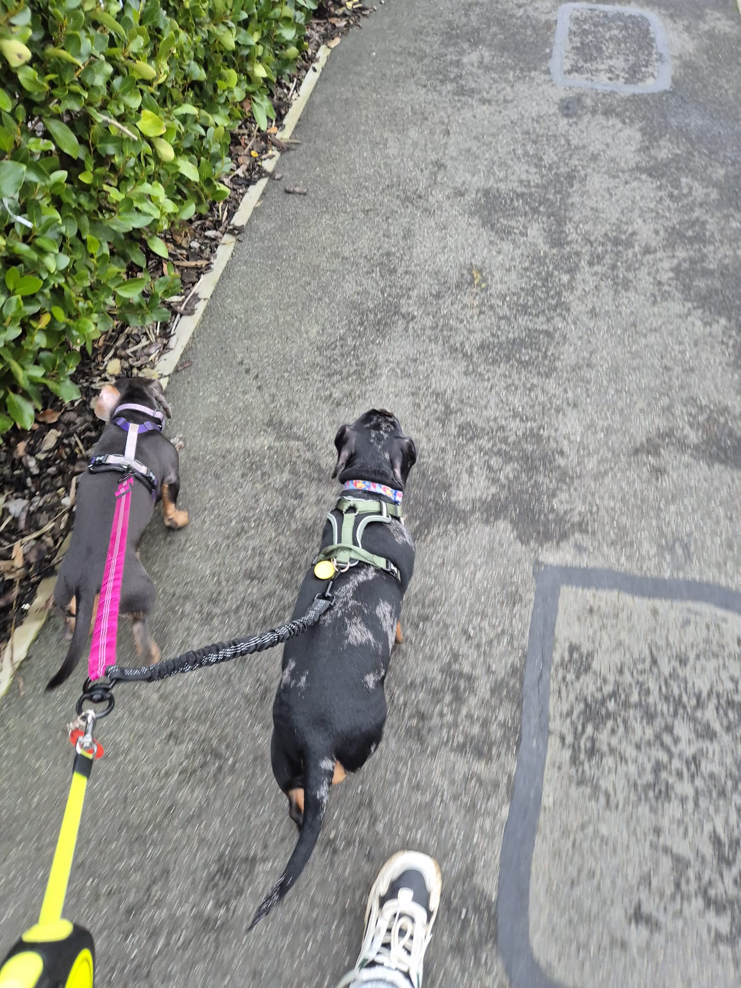 Another happy walkies moment
