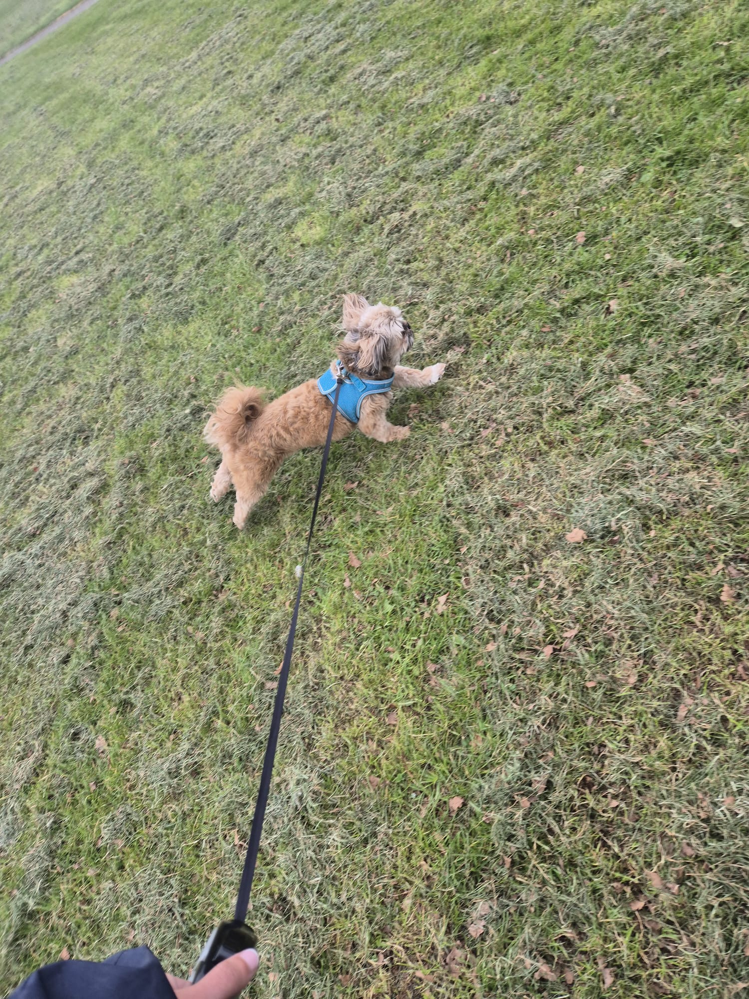 Another happy walkies moment
