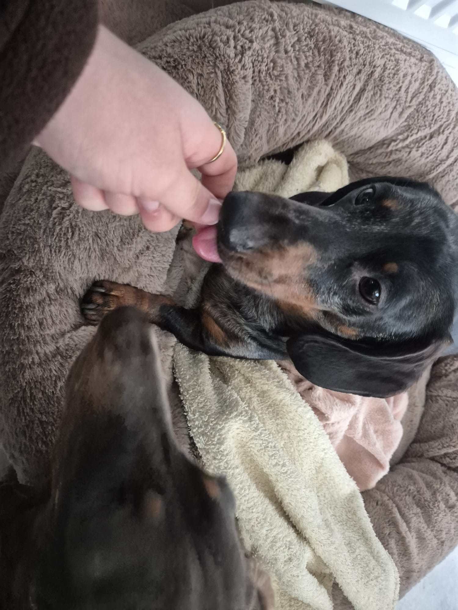Another happy walkies moment