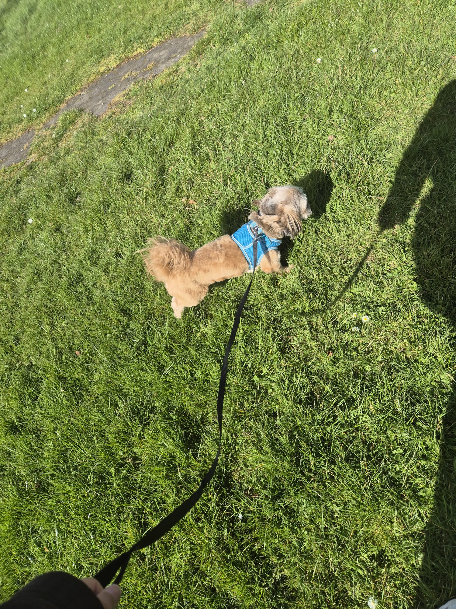 Another happy walkies moment